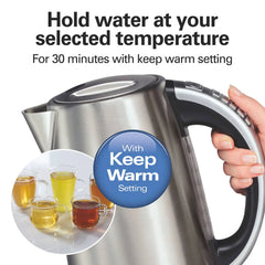 Variable Temperature Electric Kettle, Stainless Steel