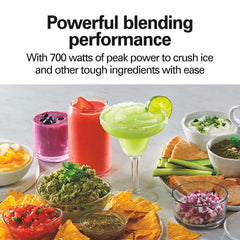 2-in-1 Blender and Food Chopper